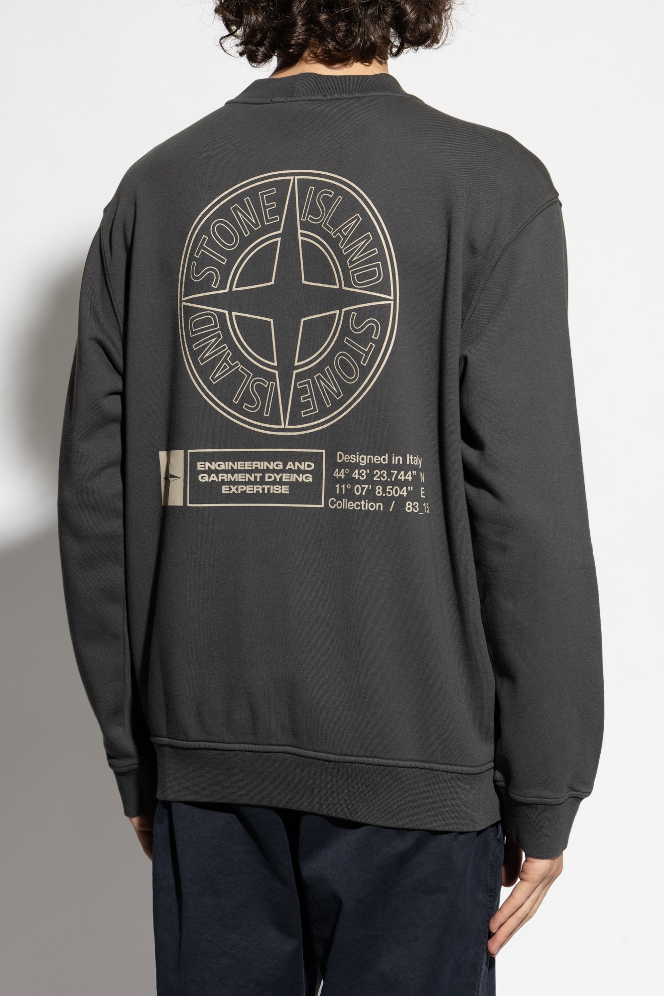 Stone Island Sweatshirt with logo | Men's Clothing | Vitkac